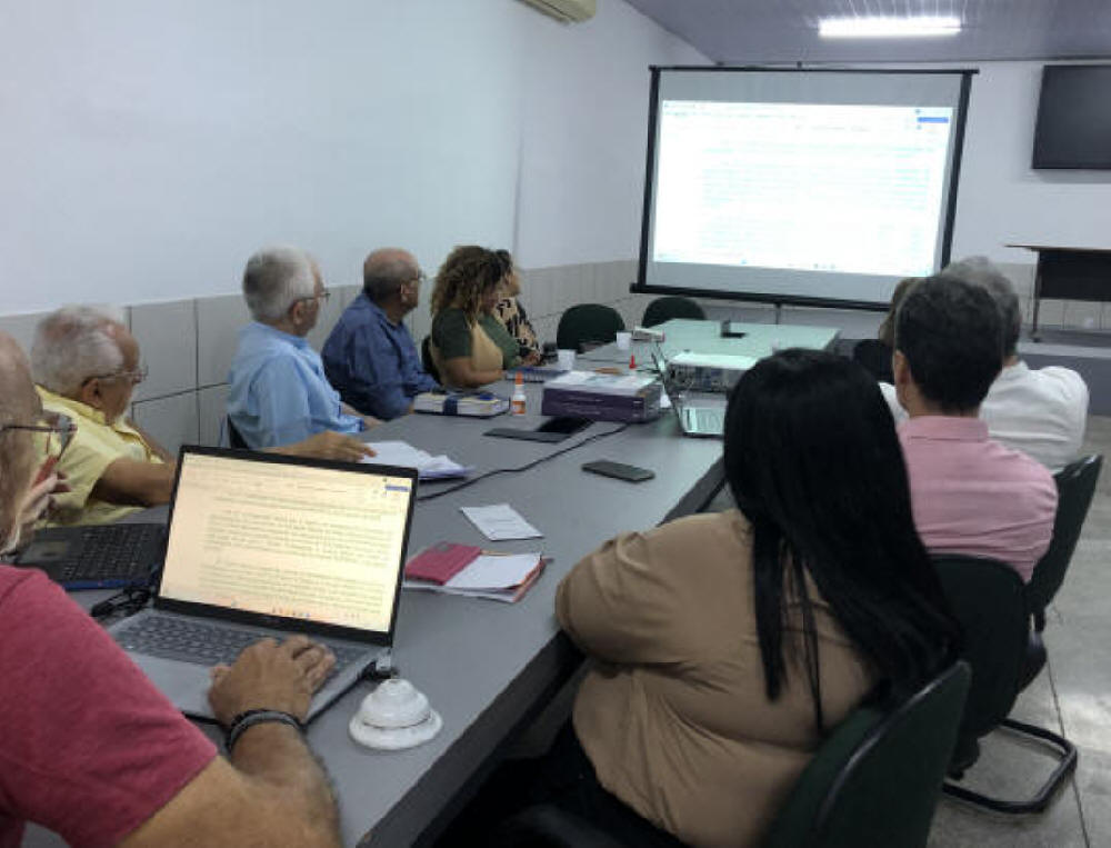 Reunião institucional na sede do CEE-PI